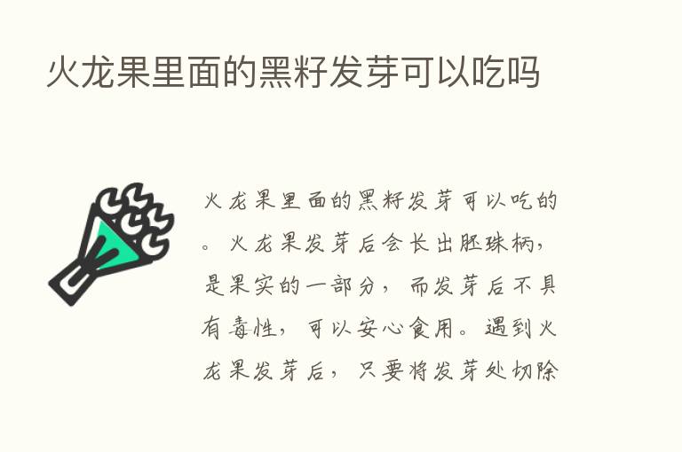 火龙果里面的黑籽发芽可以吃吗