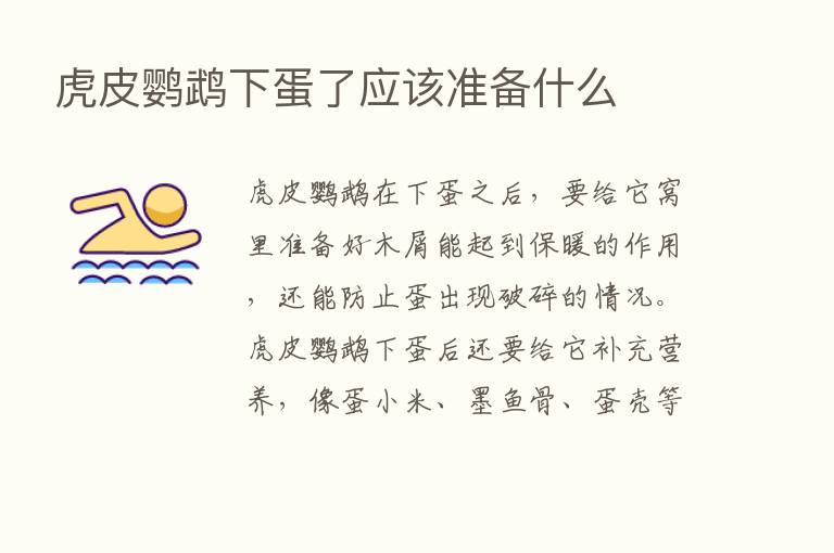 虎皮鹦鹉下蛋了应该准备什么