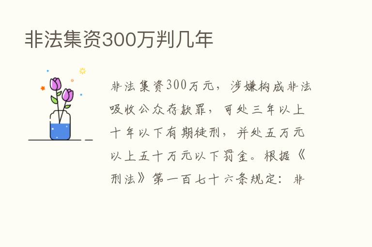 非法集资300万判几年