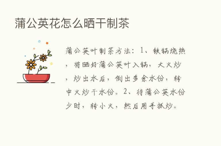 蒲公英花怎么晒干制茶