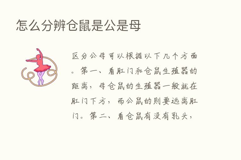 怎么分辨仓鼠是公是母