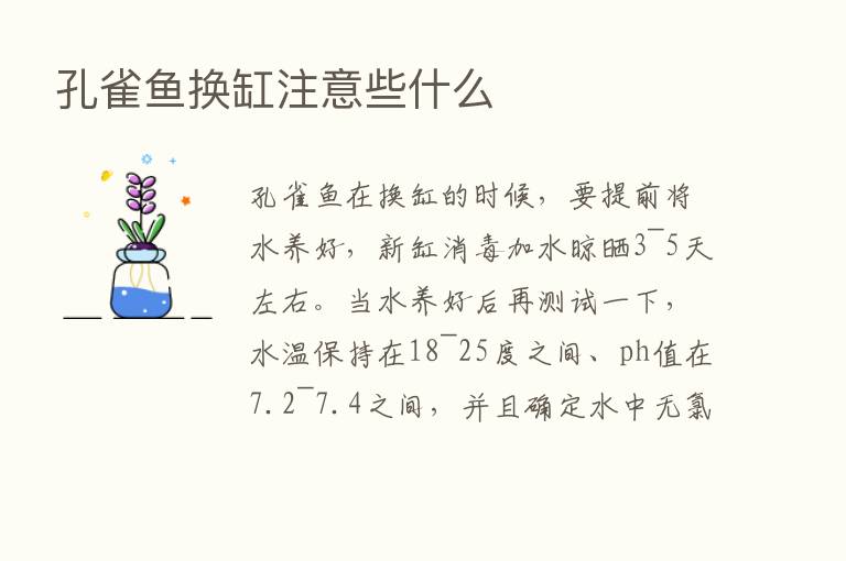 孔雀鱼换缸注意些什么