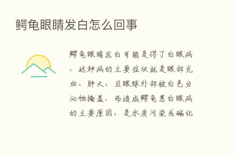 鳄龟眼睛发白怎么回事