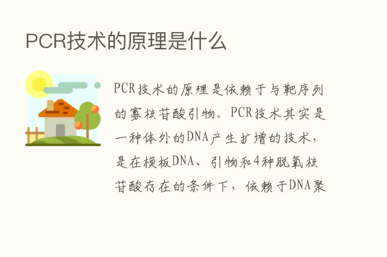 PCR技术的原理是什么