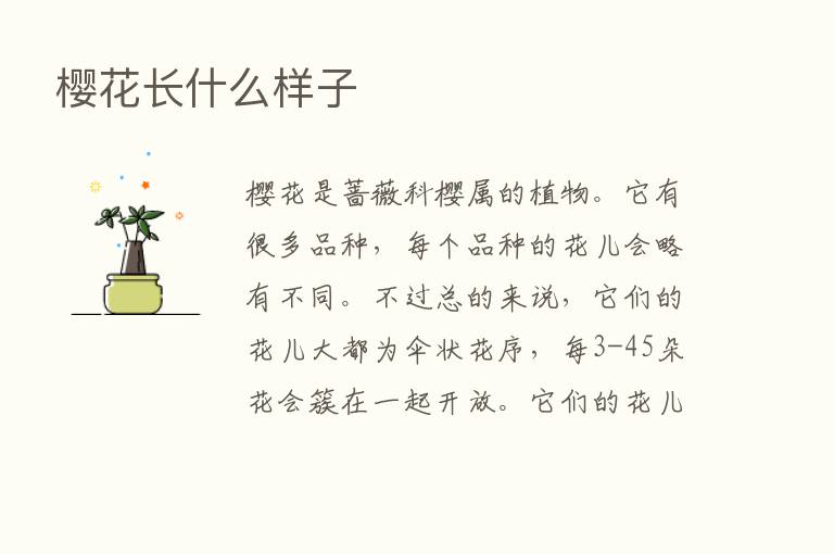 樱花长什么样子