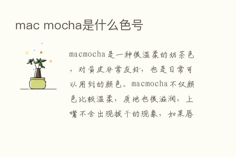 mac mocha是什么色号