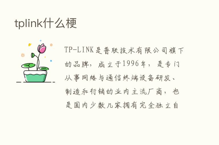 tplink什么梗