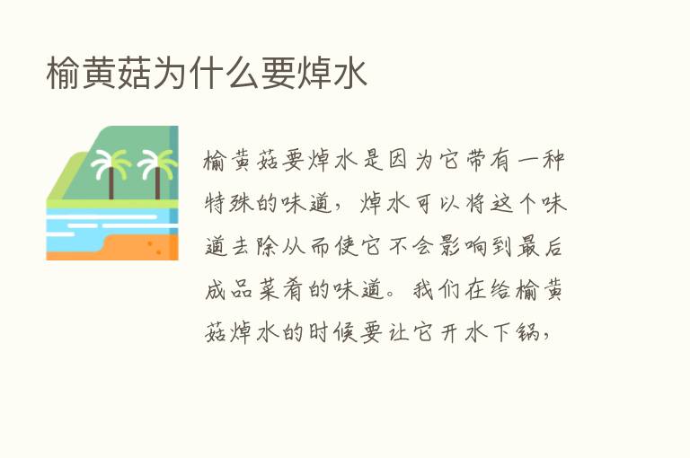 榆黄菇为什么要焯水