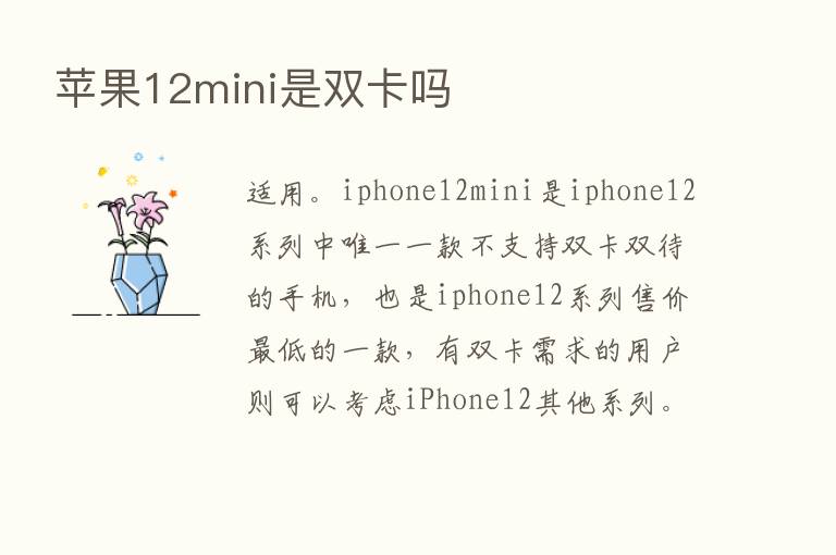 苹果12mini是双卡吗