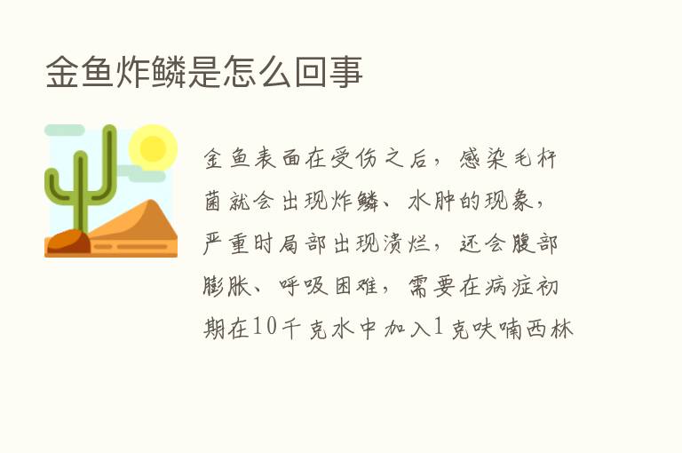 金鱼炸鳞是怎么回事