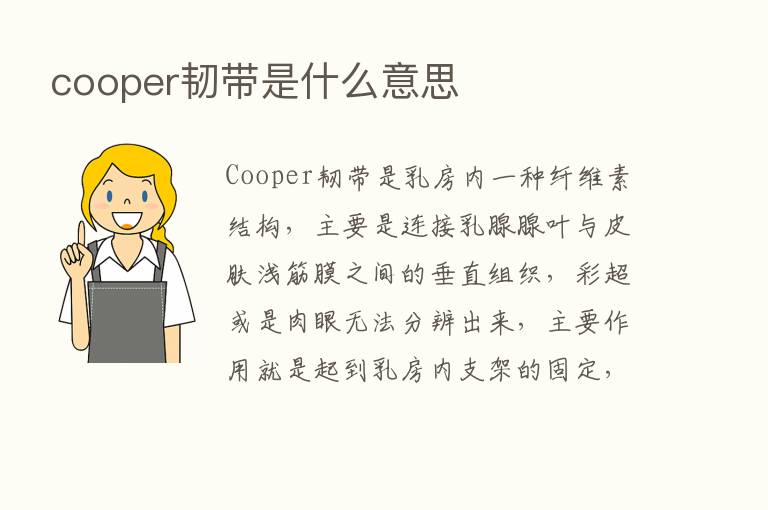 cooper韧带是什么意思