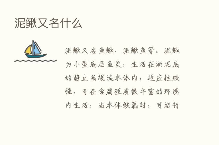 泥鳅又名什么