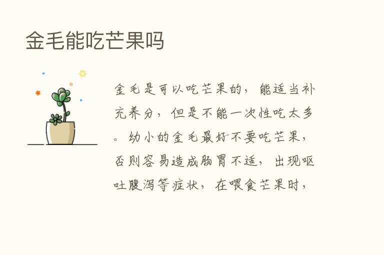 金毛能吃芒果吗