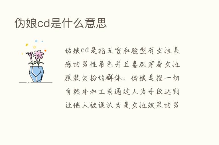 伪娘cd是什么意思