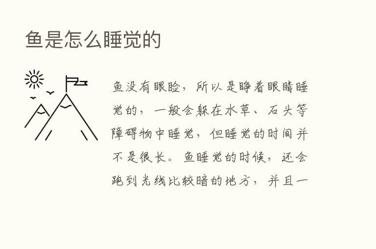 鱼是怎么睡觉的