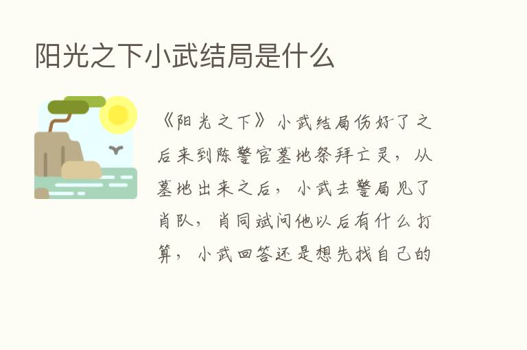 阳光之下小武结局是什么