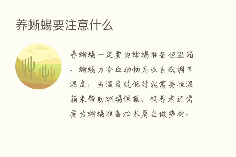 养蜥蜴要注意什么