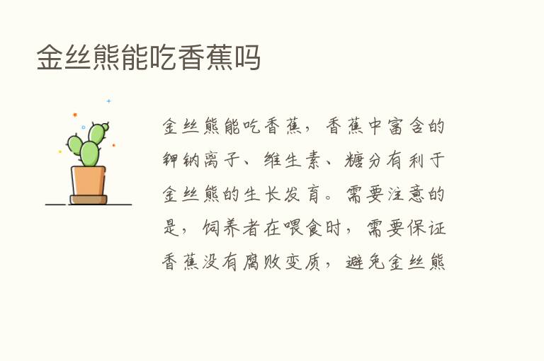 金丝熊能吃香蕉吗