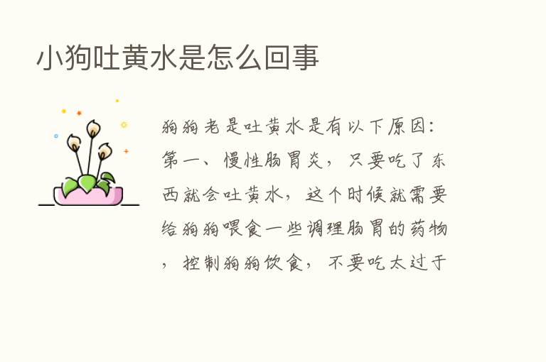 小狗吐黄水是怎么回事