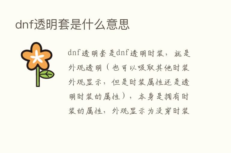 dnf透明套是什么意思