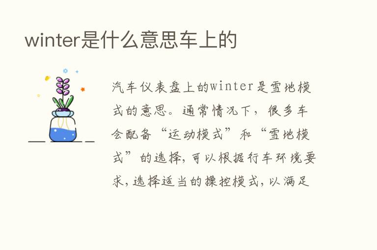 winter是什么意思车上的