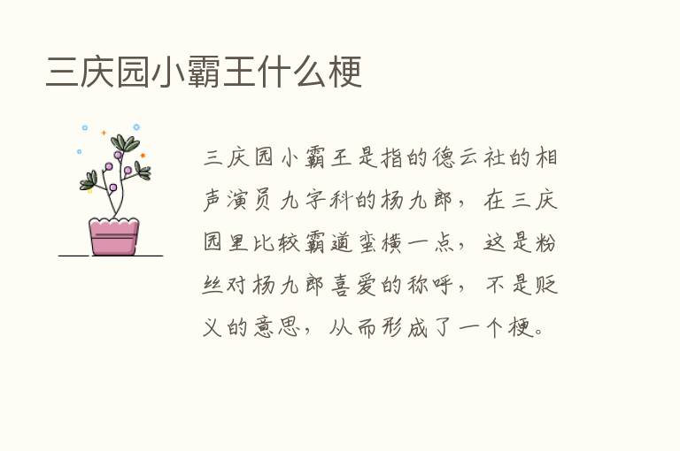 三庆园小霸王什么梗