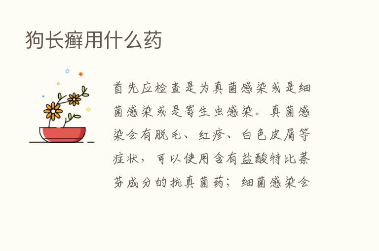 狗长癣用什么药