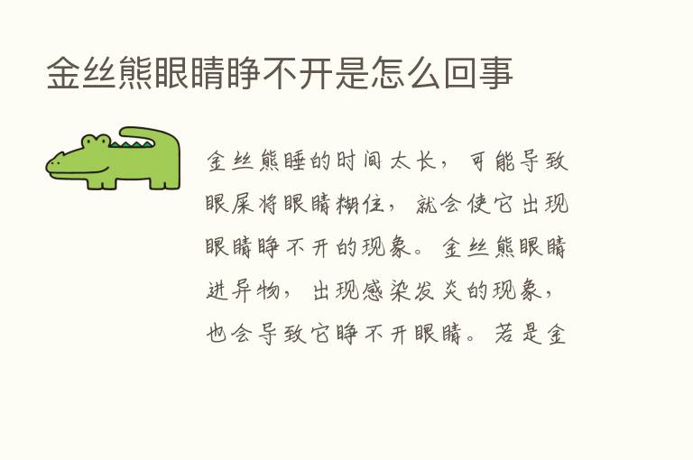 金丝熊眼睛睁不开是怎么回事