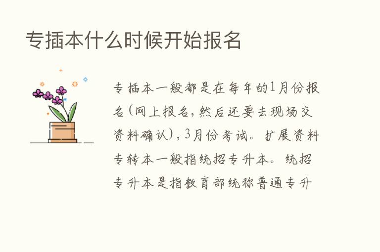 专插本什么时候开始报名