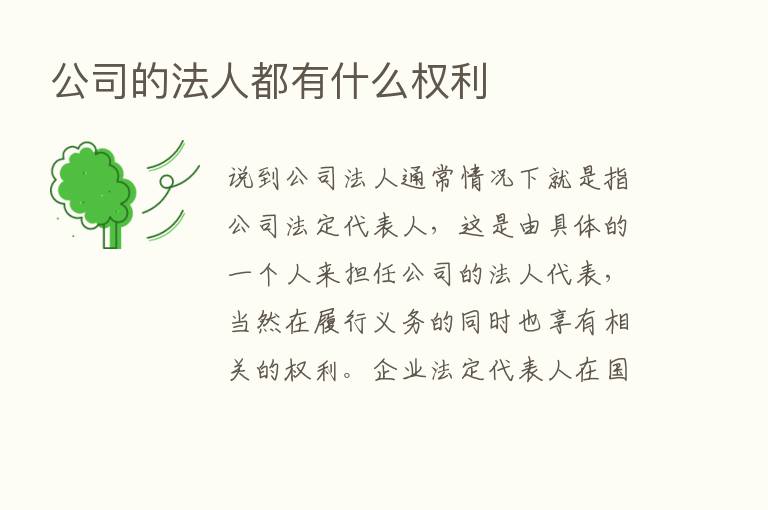 公司的法人都有什么权利