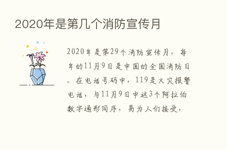 2020年是   几个消防宣传月