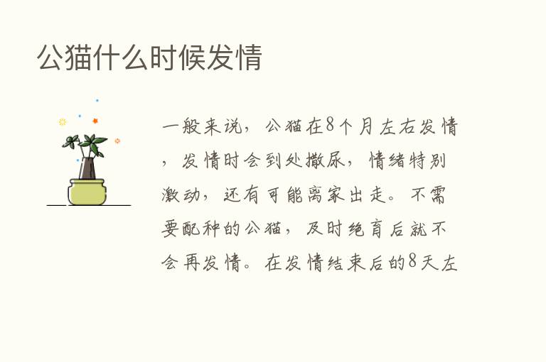 公猫什么时候发情