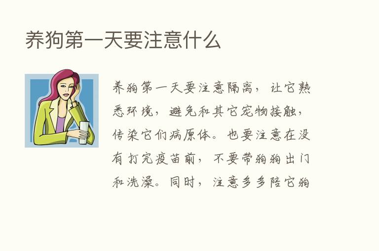 养狗   一天要注意什么