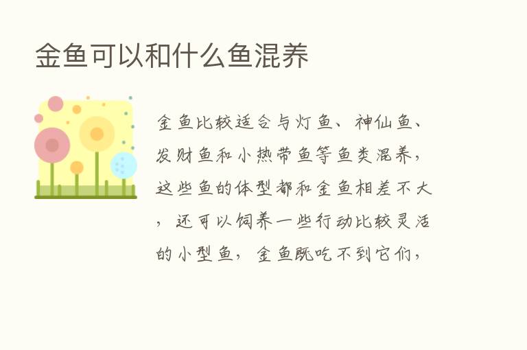 金鱼可以和什么鱼混养