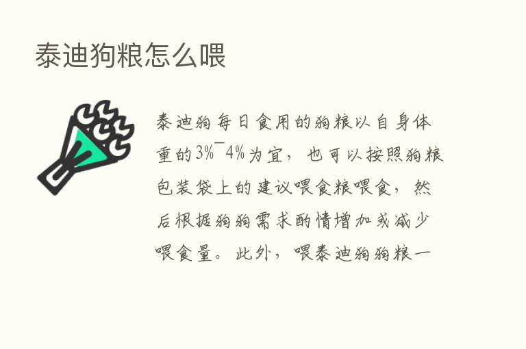 泰迪狗粮怎么喂