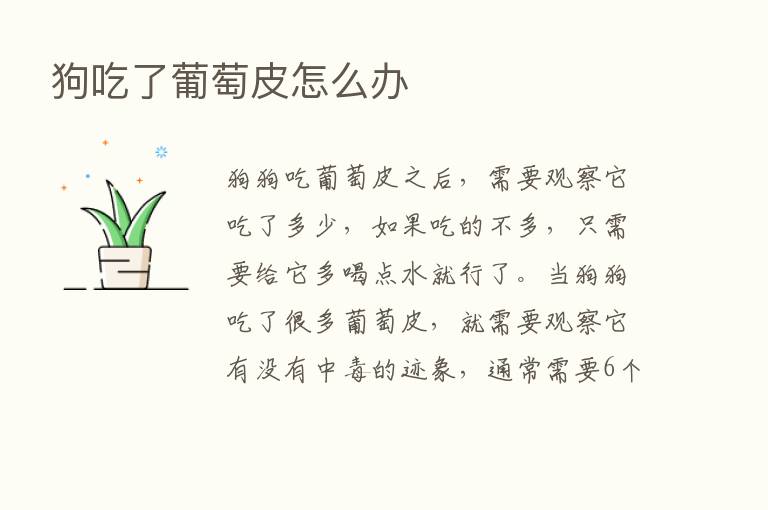 狗吃了葡萄皮怎么办