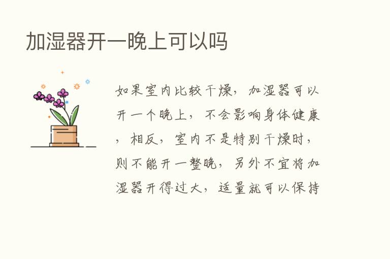 加湿器开一晚上可以吗