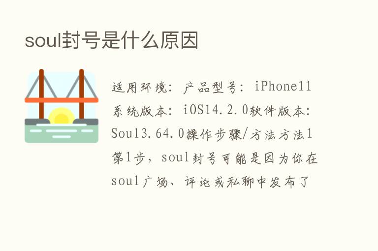 soul封号是什么原因