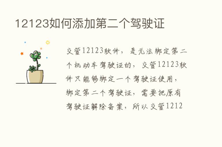 12123如何添加   二个驾驶证