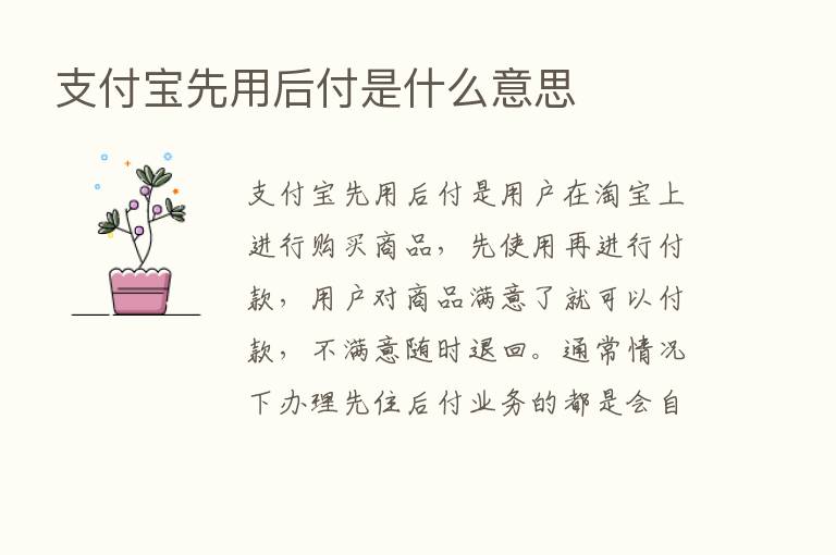 支付宝先用后付是什么意思