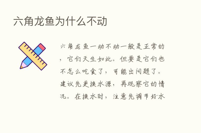 六角龙鱼为什么不动