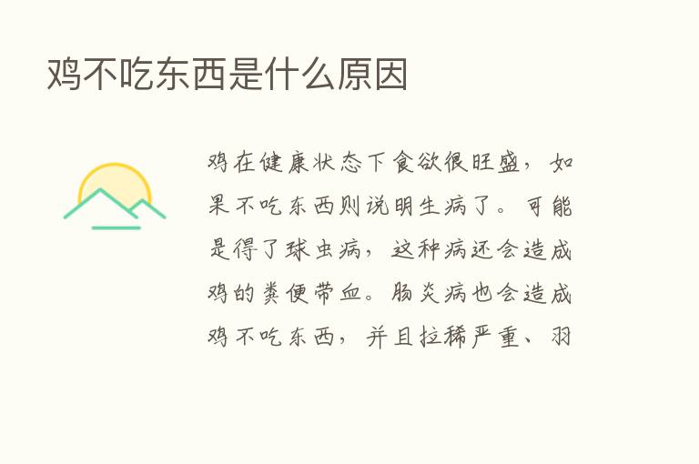 鸡不吃东西是什么原因