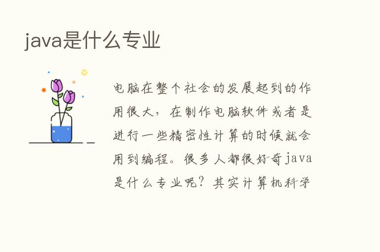 java是什么专业