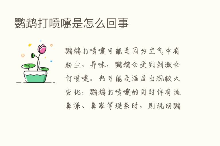 鹦鹉打喷嚏是怎么回事