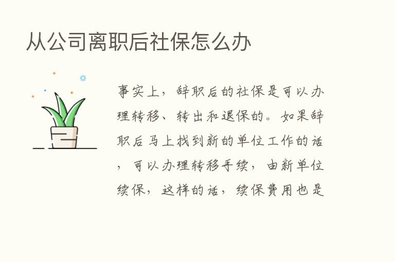 从公司离职后社保怎么办