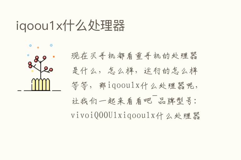 iqoou1x什么处理器