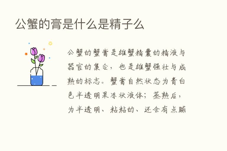 公蟹的膏是什么是精子么