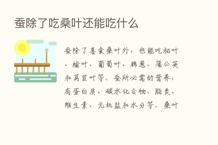 蚕除了吃桑叶还能吃什么