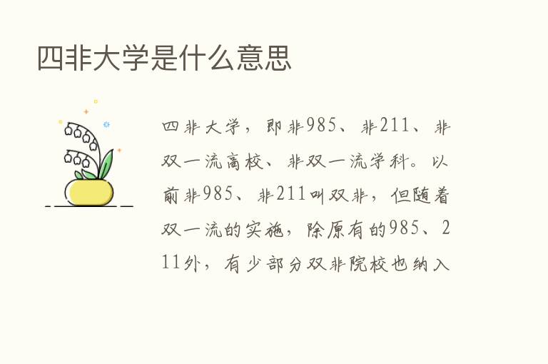 四非大学是什么意思