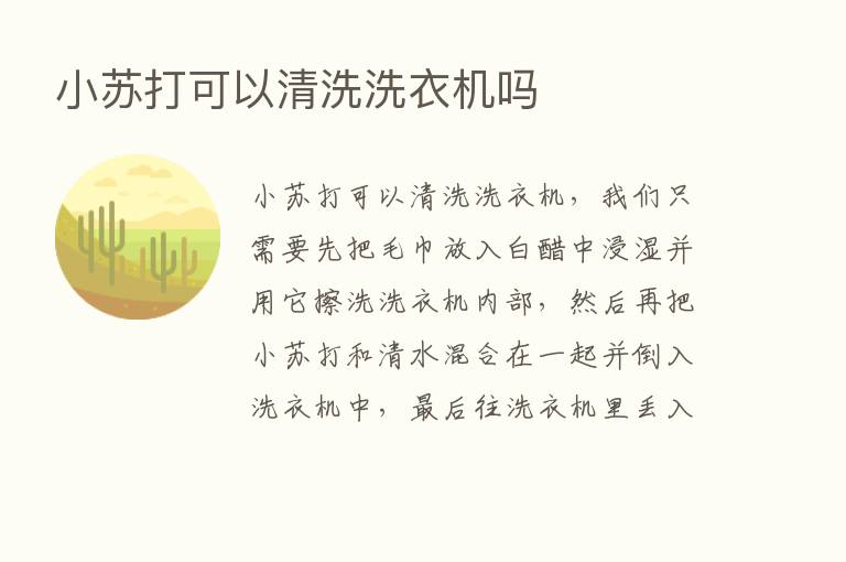 小苏打可以清洗洗衣机吗